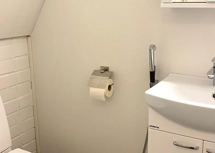 Arctica * 사리셀카